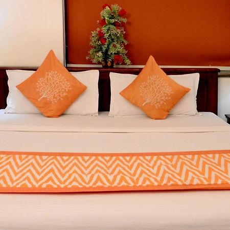 Shree Mohan Home Stay- A Heritage Home Jodhpur  Extérieur photo